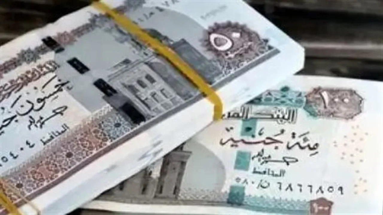 دعم المتعطلين.. شروط الحصول على إعانات الحماية الاجتماعية حتى توقيع عقد العمل